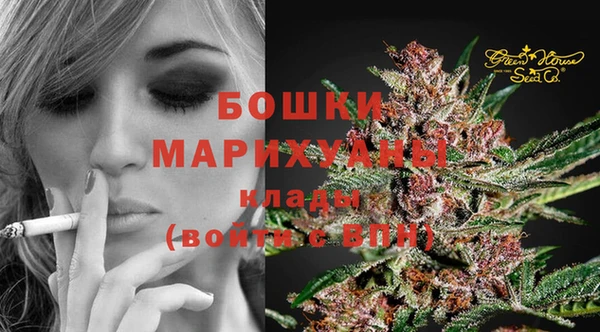 прущие крисы Верхний Тагил