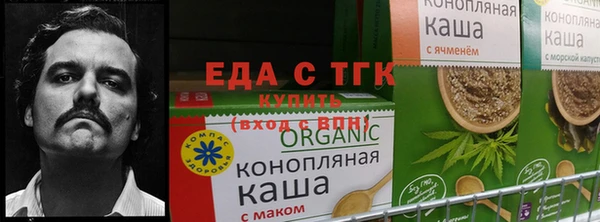метадон Бородино