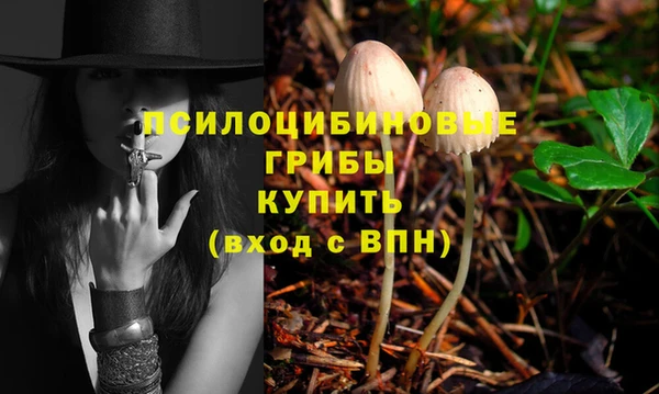 прущие крисы Верхний Тагил