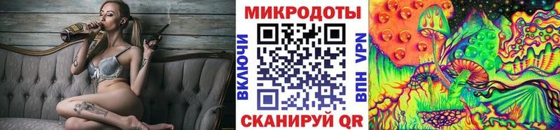 Купить закладки  Кириллов  Псилоцибиновые грибы прущие грибы 